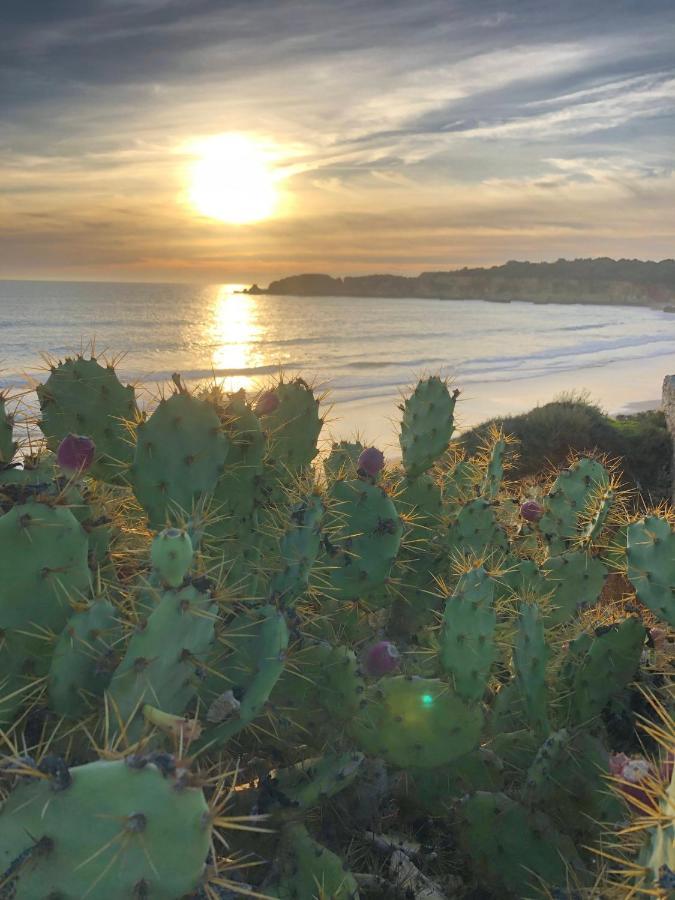 Sol E Mar Bemposta Lägenhet Alvor Exteriör bild